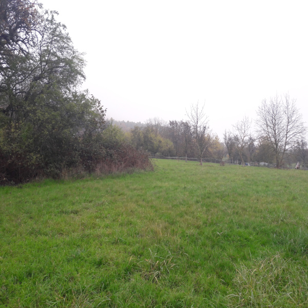Offres de vente Terrain Oberhaslach 67280