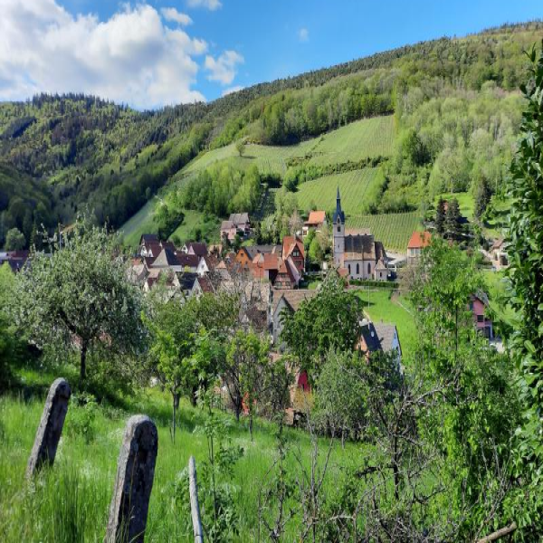 Offres de vente Terrain Andlau 67140