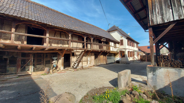 Offres de vente Maison de village Krautergersheim 67880